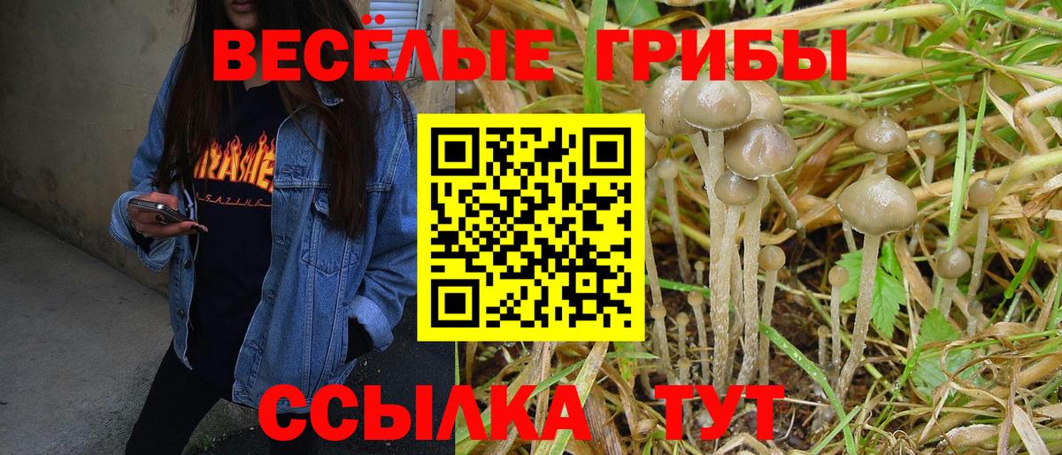 Тихвин  купить  сайты  Вход с VPN  Псилоцибиновые грибы Psilocybine cubensis 