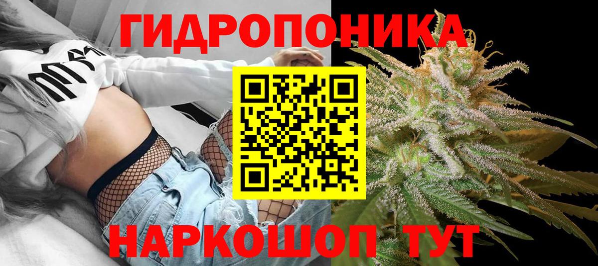Бошки марихуана Ganja  Бошки Шишки планчик  Тихвин  Шишки марихуана индика  Конопля тримм  Вход с VPN 